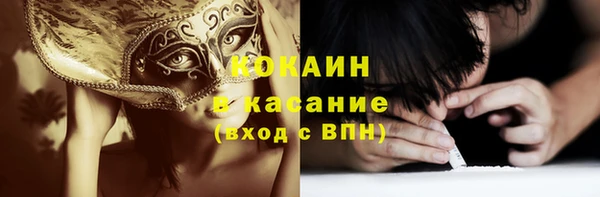 твердый Алзамай