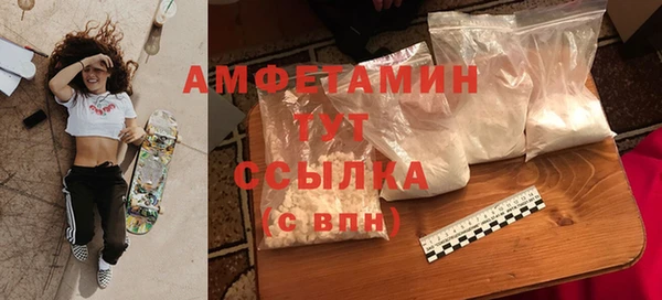прущие грибы Алексин
