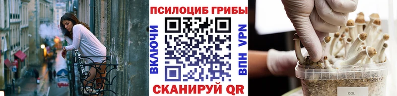 hydra зеркало Череповец Галлюциногенные грибы Psilocybe